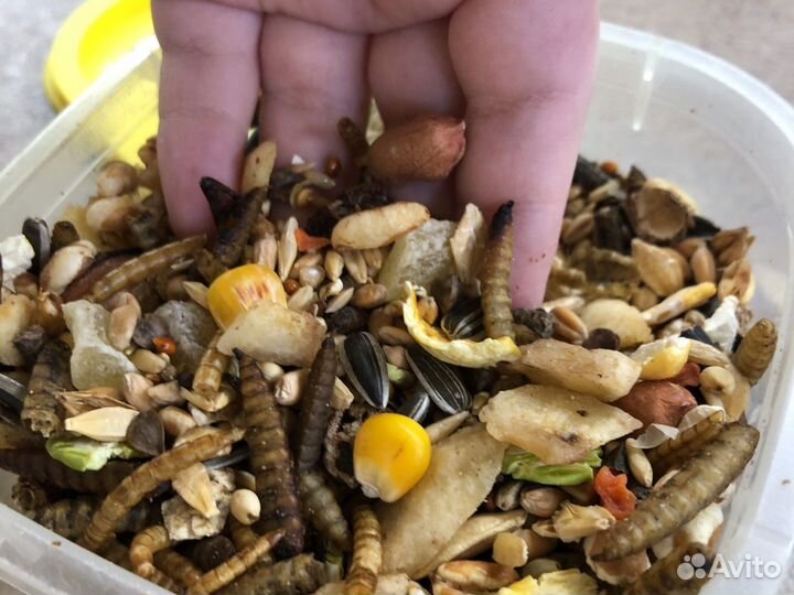 Корм-мешанина для хомяков