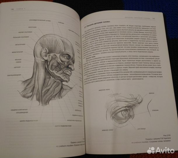 Рисунок. Учебное пособие мархи. Осмоловская