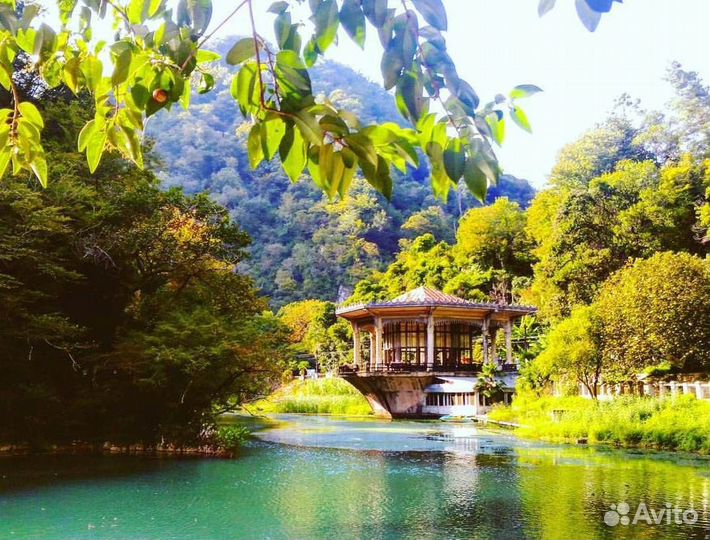 Экскурсии по Абхазии на микроавтобусе