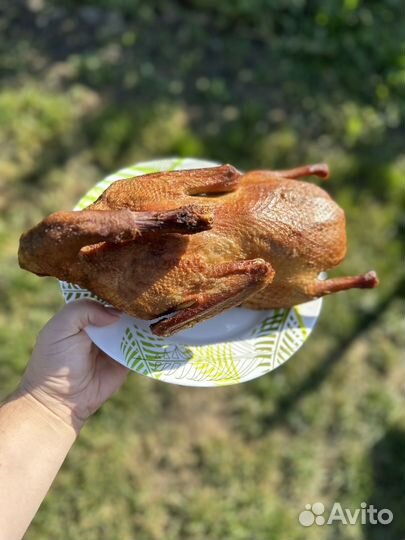 Копчёные куры, петушки, утки, перепела доставка