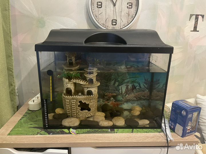 Аквариум
