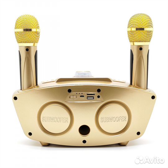 Караоке система sdrd SD-306 20Вт. Золото