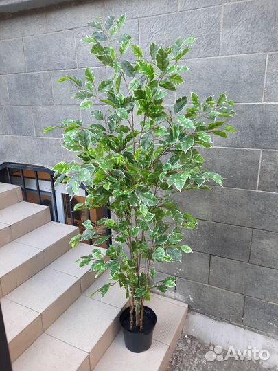 Искусственные цветы для декора дома,офиса