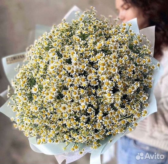 Ромашки букет