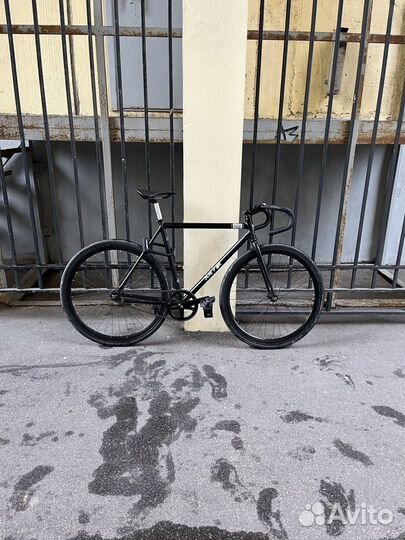 Octopus vulgaris велосипед fix