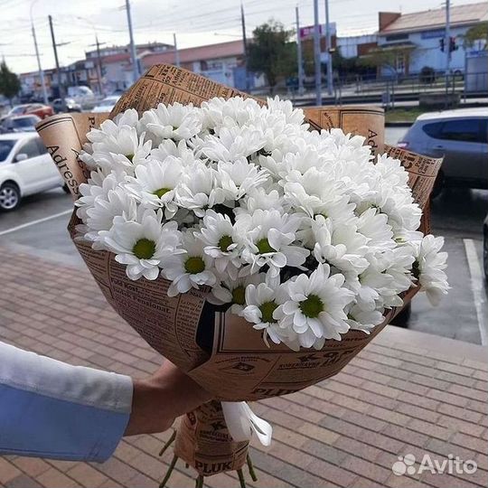 Хризантема Доставка цветов Букеты