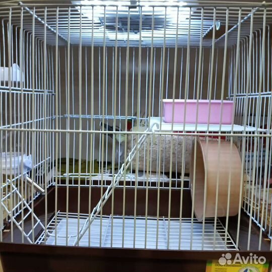 Клетка для грызунов