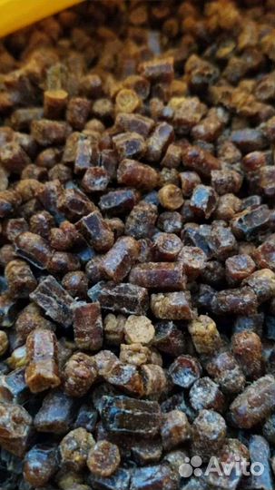Мед 2023 и пчелопродукты с личной пасеки