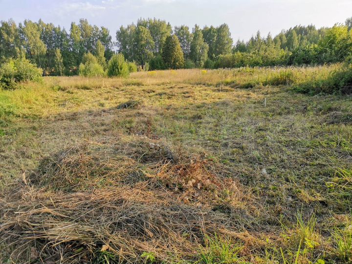 Участок 15 сот. (ИЖС)