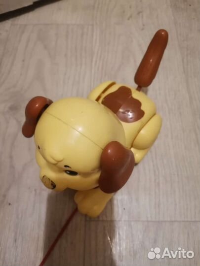 Собака для детей