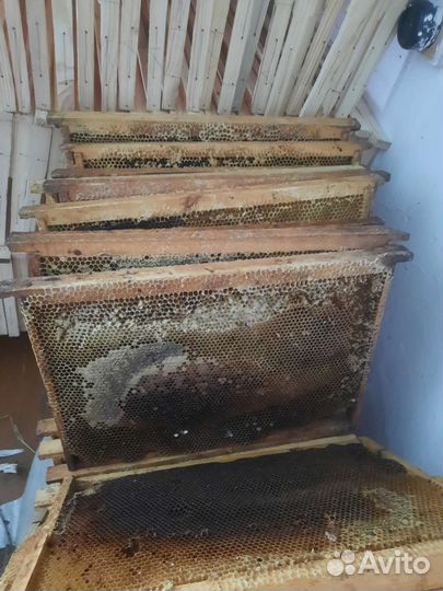 Сушь для пчел