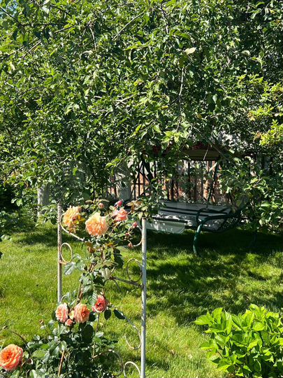 Дача 50 м² на участке 12 сот.