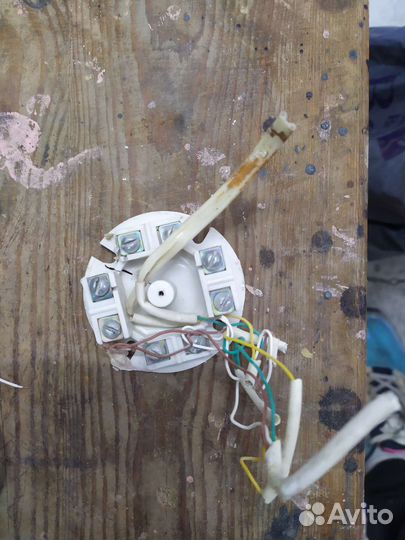 Отдам бесплатно