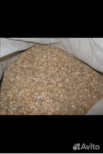 Кормовая ракушка