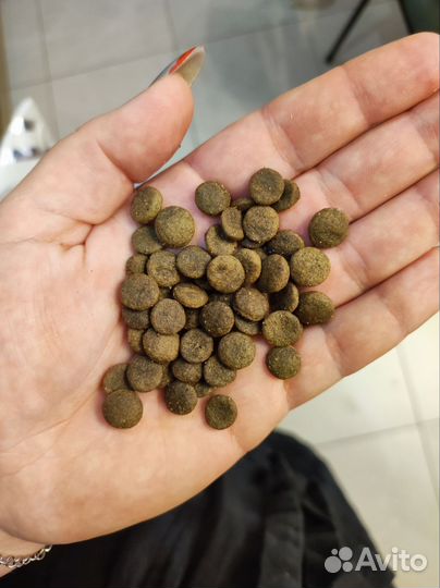 Корм для кошек monge