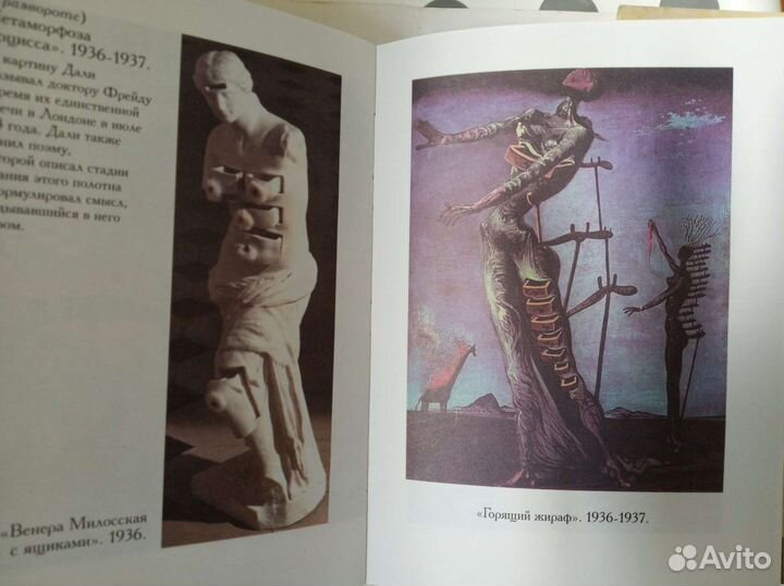 Сальвадор Дали Дневник одного гения