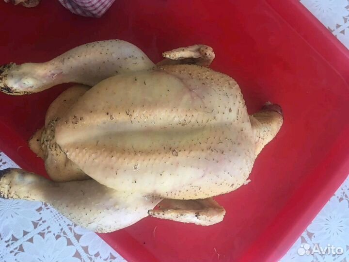 Мясо бройлера