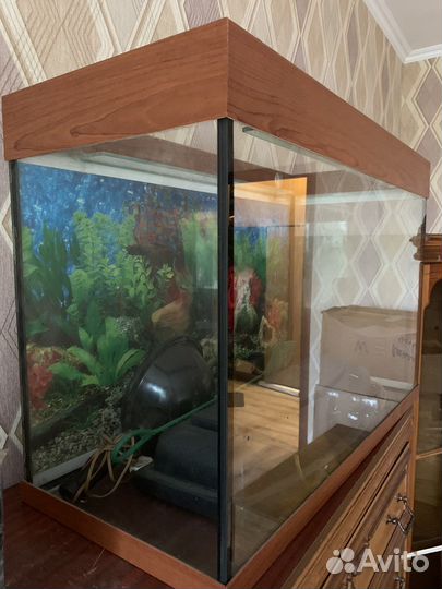 Аквариум на 150 литров