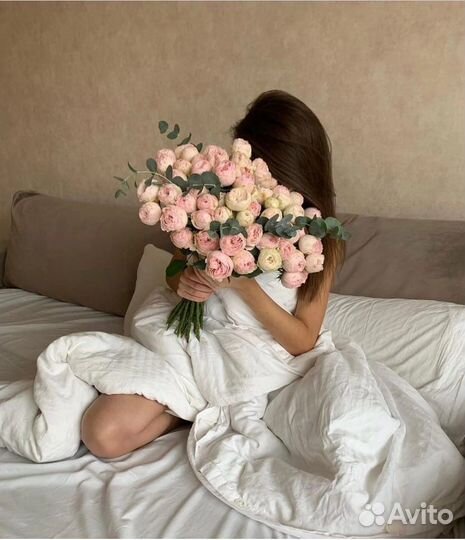 Администратор