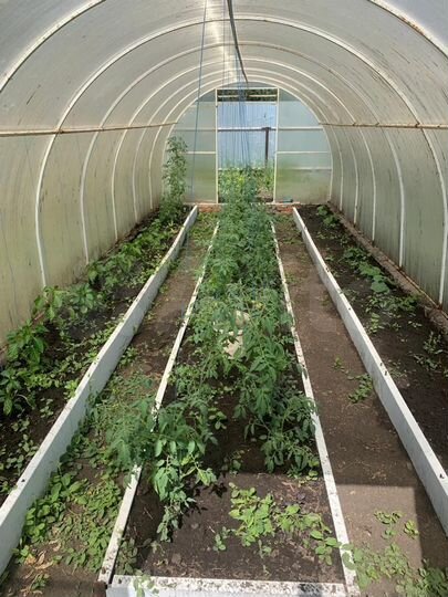 Дача 25 м² на участке 6 сот.