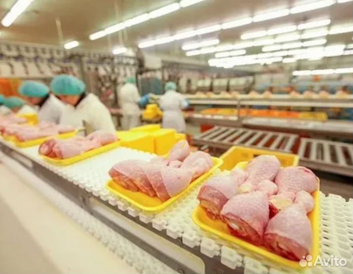 Упаковщик/ца Вахта проживание в квартире