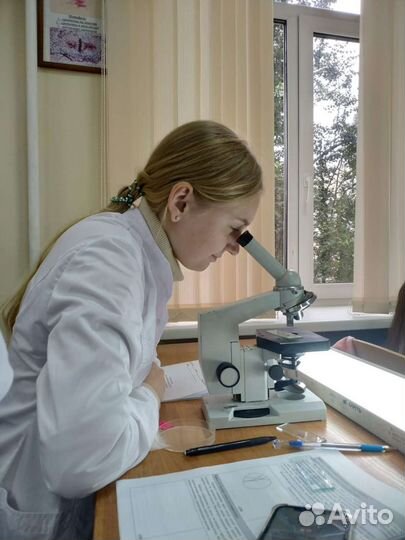 Подготовка к ОГЭ