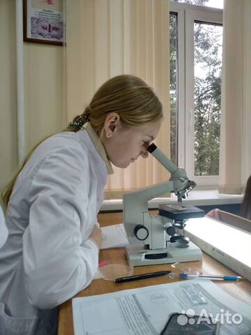 Подготовка к ОГЭ