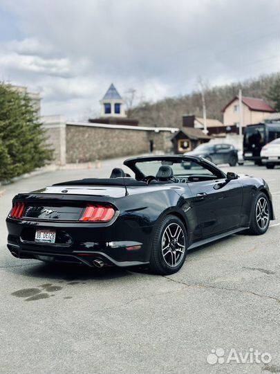 Аренда авто Ford Mustang 2022 с водителем