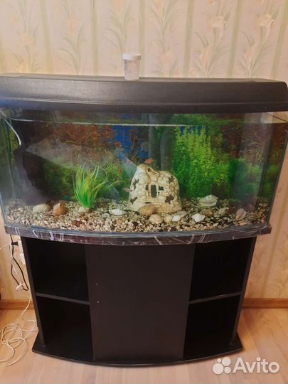 Аквариум с тумбой 130 литров