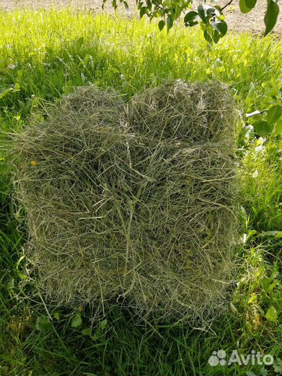 Сено луговое