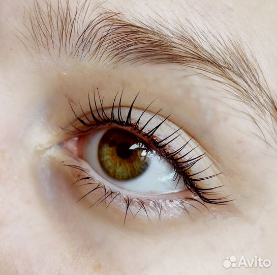 Ламинирование и ботокс ресниц/бровей