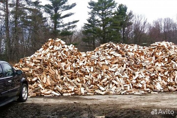 Дрова осина
