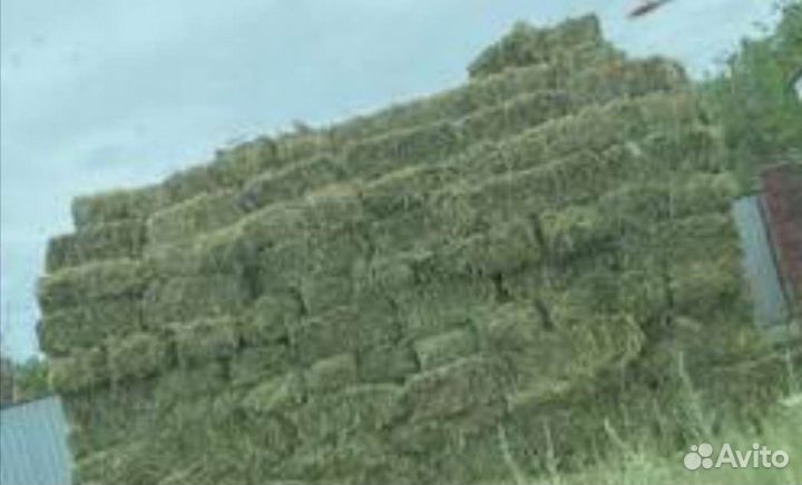 Сено, солома в тюках