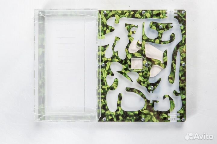 Муравьиная ферма 20х27 