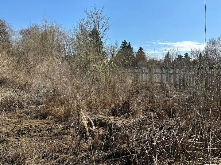 Участок 15 сот. (СНТ, ДНП)