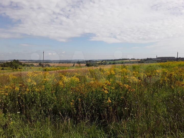 Участок 45 сот. (СНТ, ДНП)