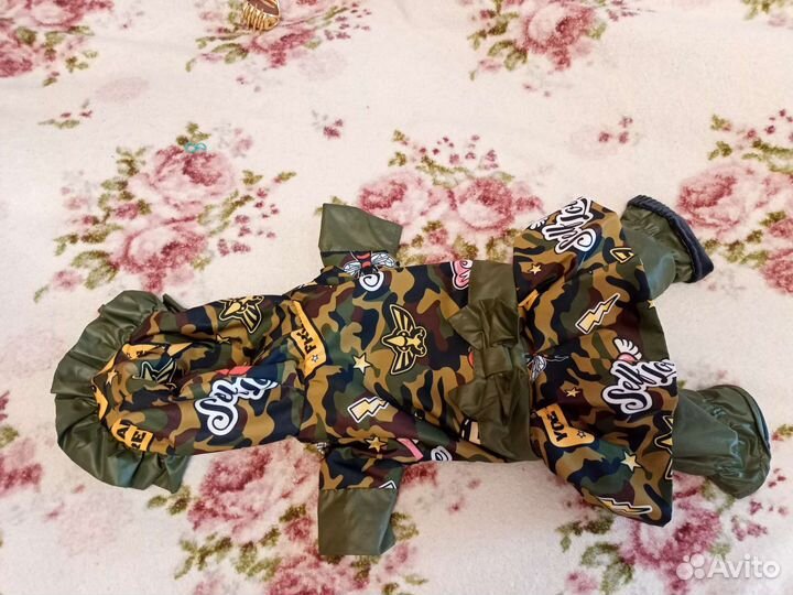 Одежда для йорка