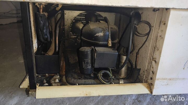 Морозильная камера - холодильная витрина