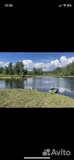 Охота и рыбалка