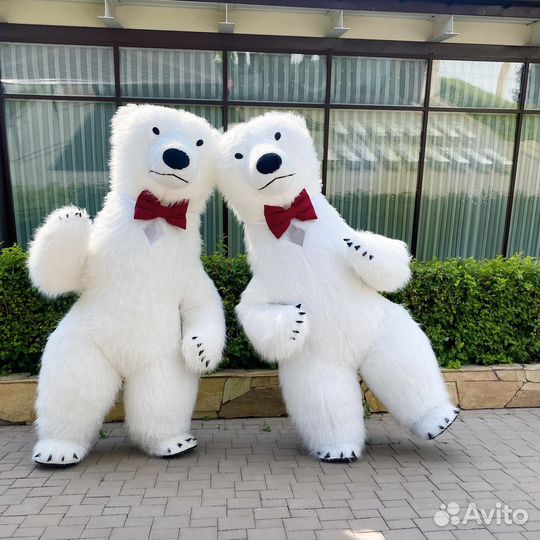 Поздравление от белого медведя/аниматор