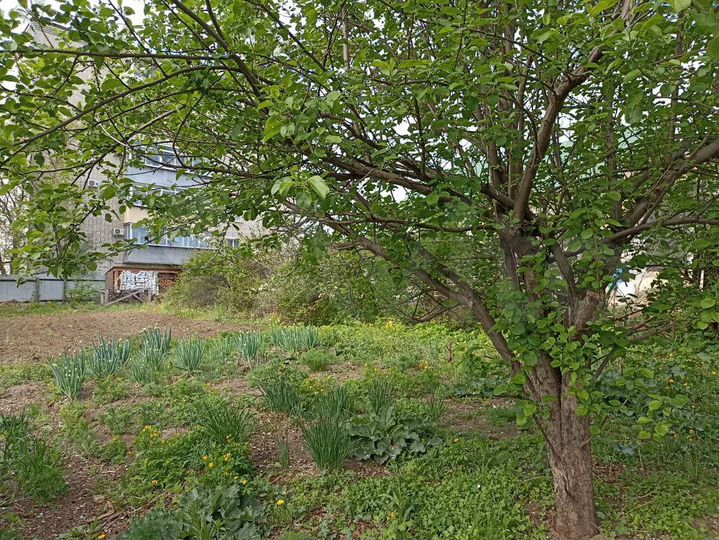 Дом 30 м² на участке 6 сот.