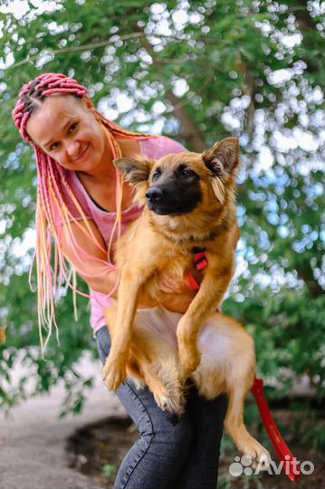 Манго ищет дом