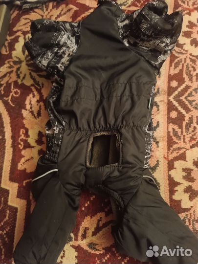 Одежда для маленьких собак