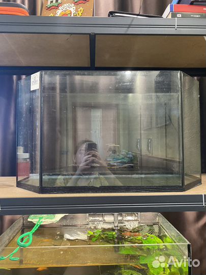Аквариум