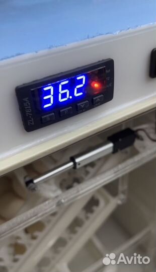 Инкубатор на 72 яйца автомат