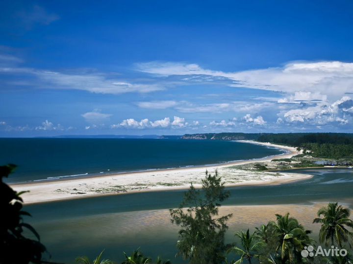 Загрантур на GOA 7 дней