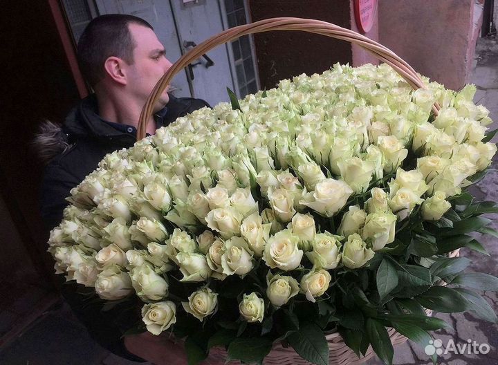 Розы гиганты 140 150 160 170 180 200