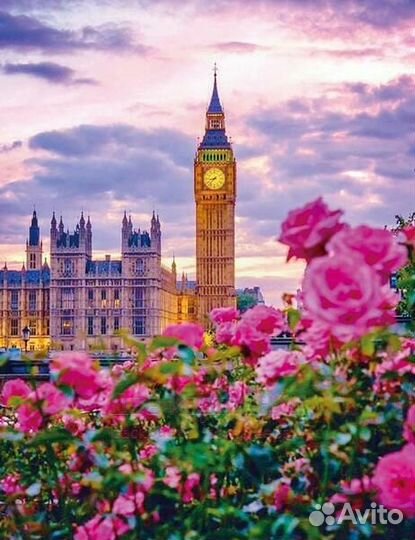 Алмазная мозаика 40x50 Биг-Бен и кусты цветущих ро