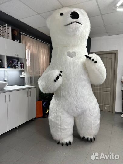 Белый Мишка Тёма и Панда Стёпа Поздравление