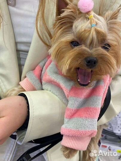 Кто потерял